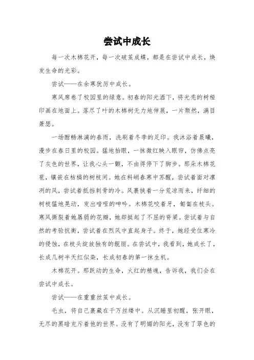 以《尝试中成长》为题的高中作文800字5篇