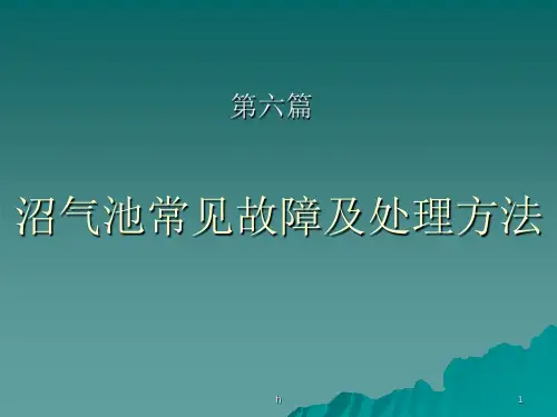 沼气池常见故障及处理方法