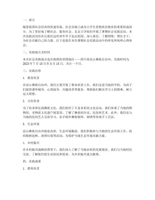 北大暑期社会实践报告