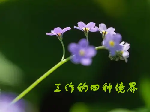工作的四种境界