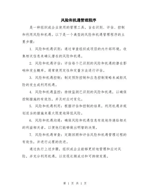 风险和机遇管理程序
