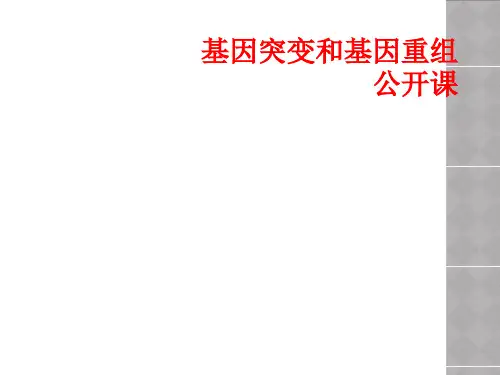 基因突变和基因重组公开课