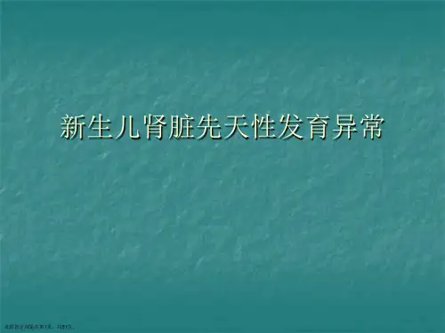 新生儿肾脏先天性发育异常