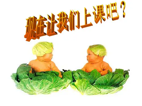 典型先心病ppt课件