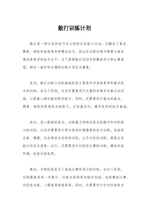 散打训练计划