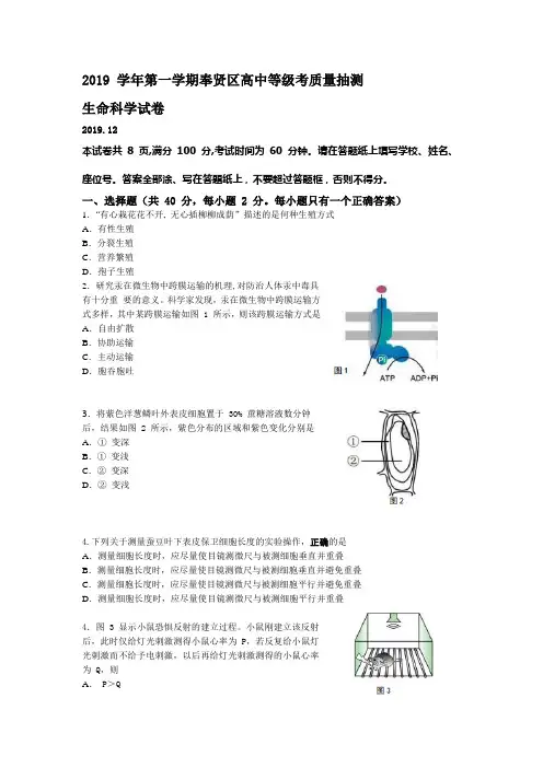 2020生物等级考奉贤区一模试卷和参考答案