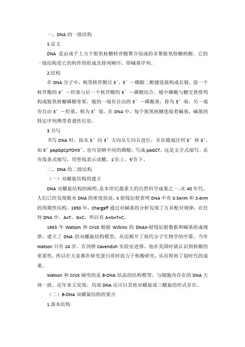 生物化学DNA的结构