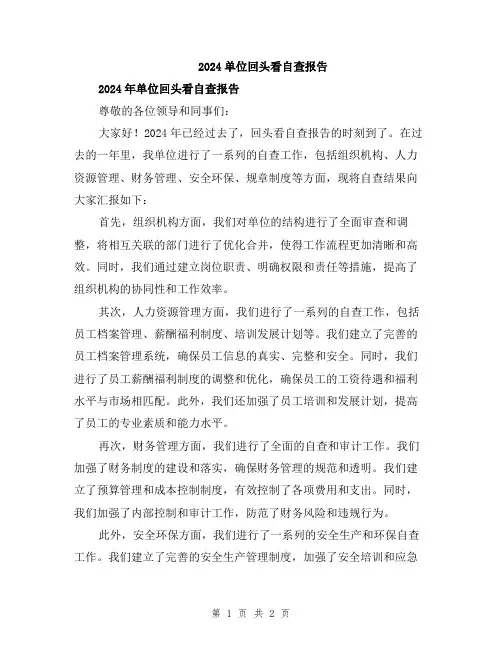 2024单位回头看自查报告