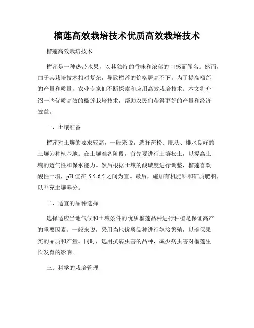 榴莲高效栽培技术优质高效栽培技术