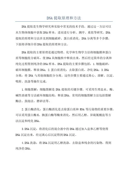 DNA提取原理和方法