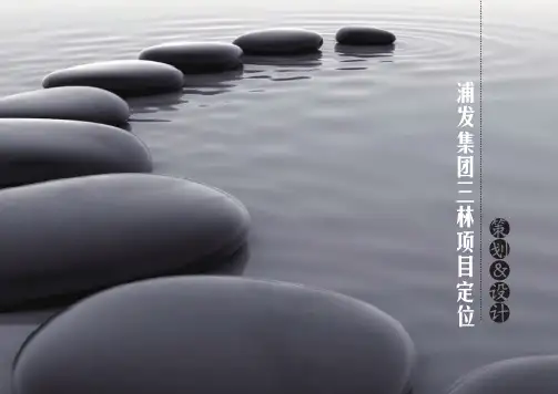 浦发集团上海三林商业项目定位策划与设计(99页)