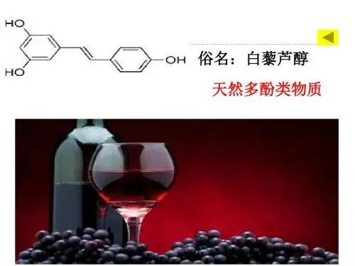化学课件《酚》优秀ppt4 人教课标版