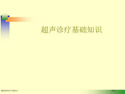 B超基础知识专题知识