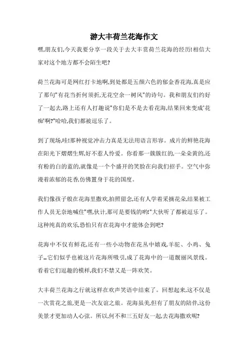 游大丰荷兰花海作文