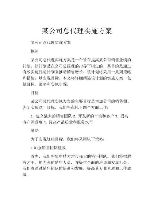 某公司总代理实施方案