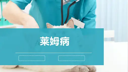犬猫的传染病(莱姆病)-宠物医生课件
