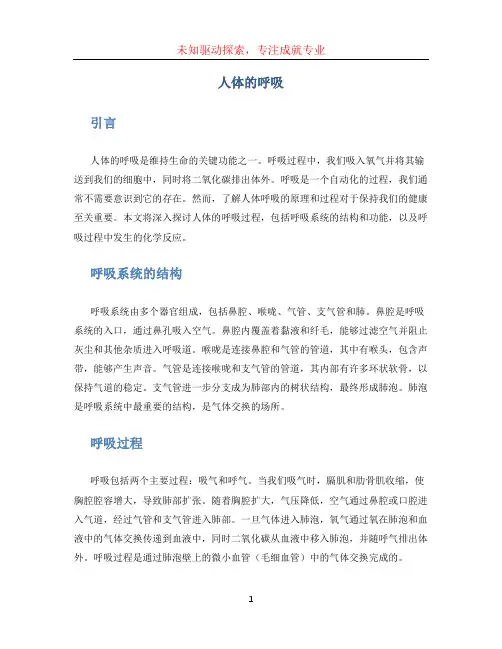 人体的呼吸
