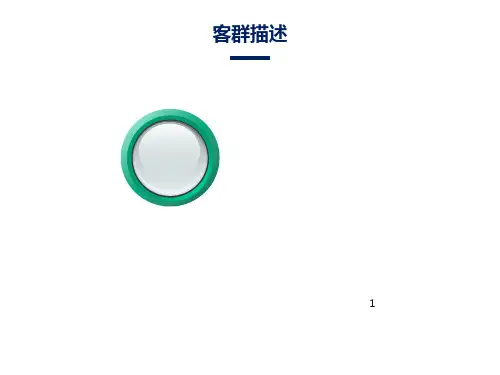 万科客户细分模板