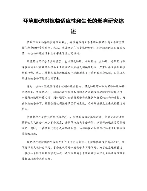 环境胁迫对植物适应性和生长的影响研究综述
