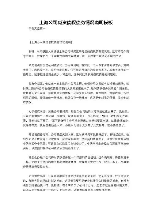 上海公司减资债权债务情况说明模板