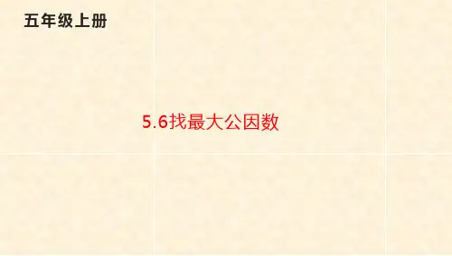 五年级数学北师大版上册找最大公因数课件