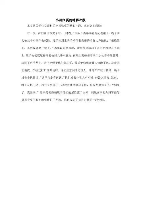 小兵张嘎的精彩片段_作文素材