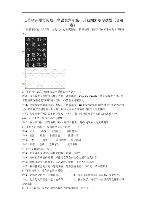 江苏省苏州市实验小学语文六年级小升初期末复习试题(含答案)