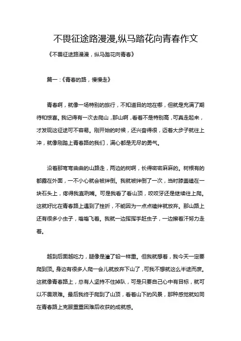 不畏征途路漫漫,纵马踏花向青春作文