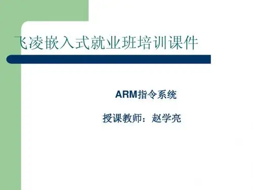 ARM指令系统