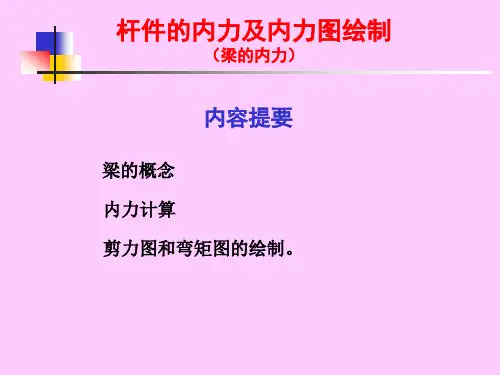 杆件内力及内力图的绘制(梁的内力)(1)