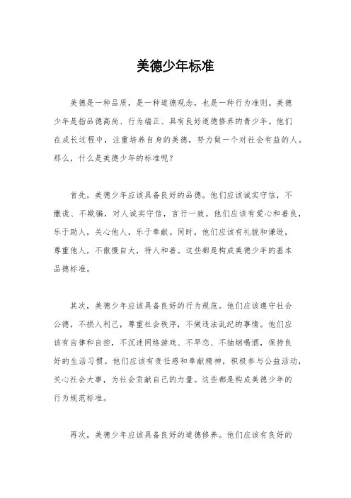 美德少年标准