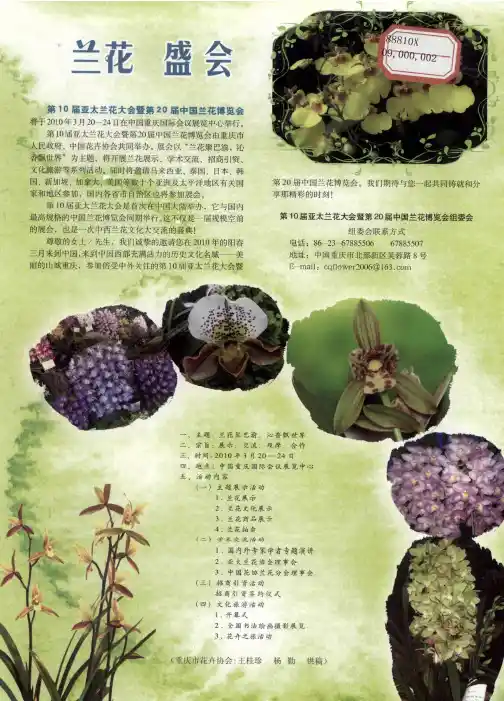 兰花 盛会