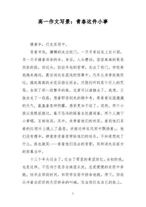高一作文写景:青春这件小事