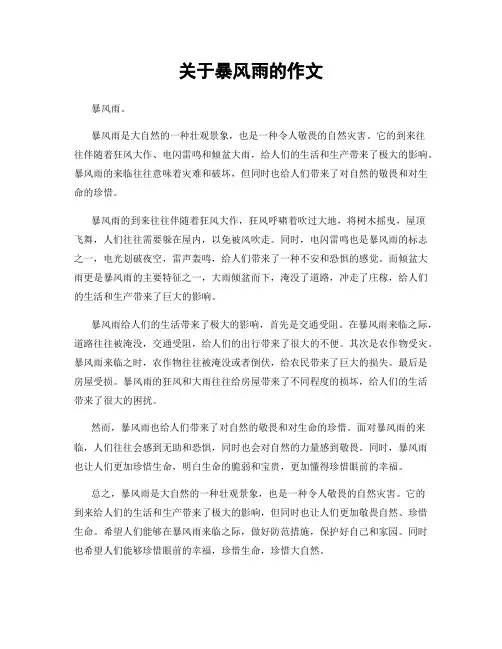 关于暴风雨的作文