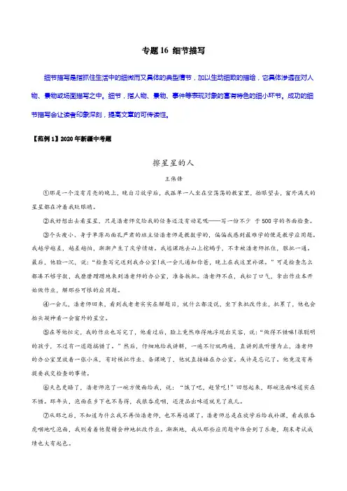 专题16 细节描写(解析版)初中现代文阅读考点+答题技巧模板之记叙文