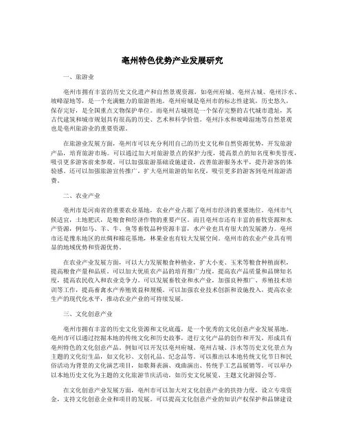 亳州特色优势产业发展研究