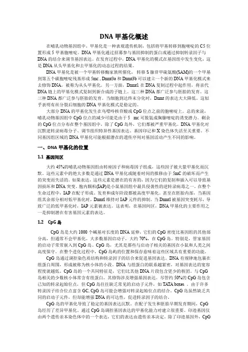 DNA甲基化