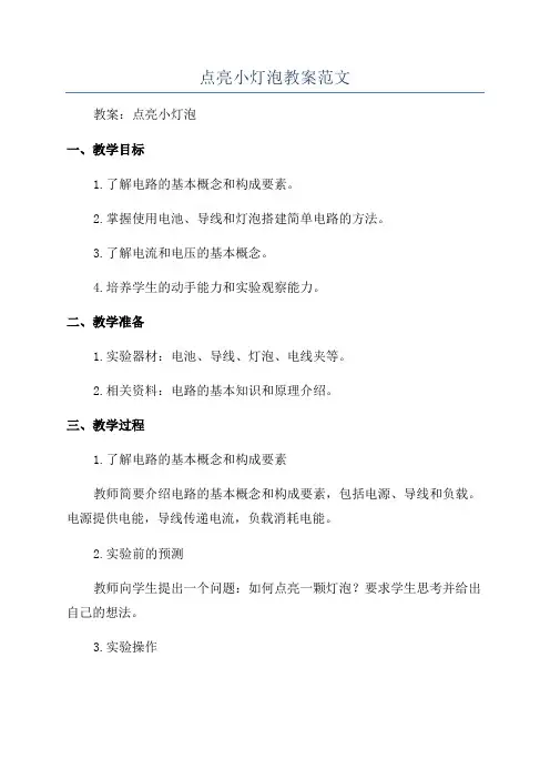 点亮小灯泡教案范文