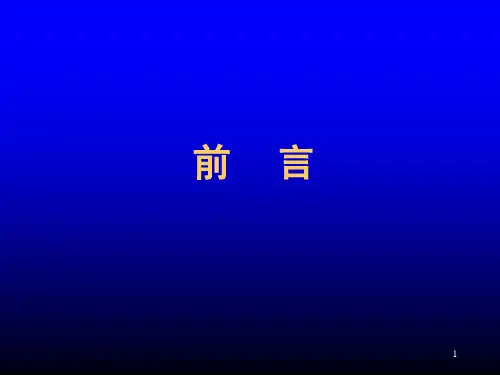 中国中小企业融资28种模式与实运作90页PPT