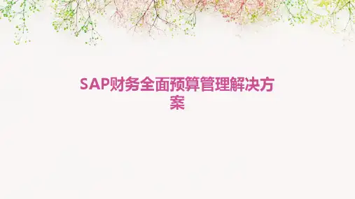 SAP财务全面预算管理解决方案