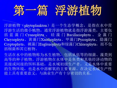 第一篇浮游植物-PPT精品