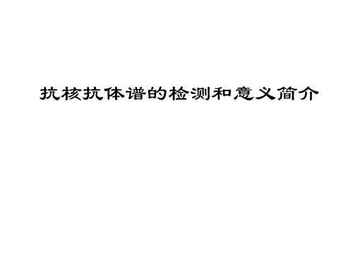 抗核抗体谱的检测及意义简介