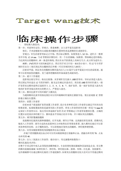 椎间孔镜操做技术