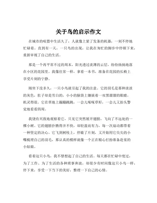 关于鸟的启示作文