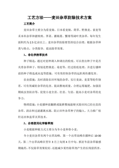 工艺方法——麦田杂草防除技术方案