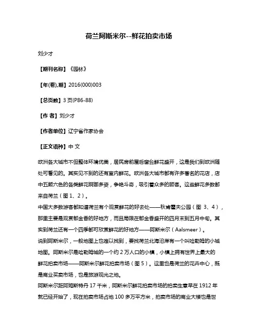 荷兰阿斯米尔--鲜花拍卖市场