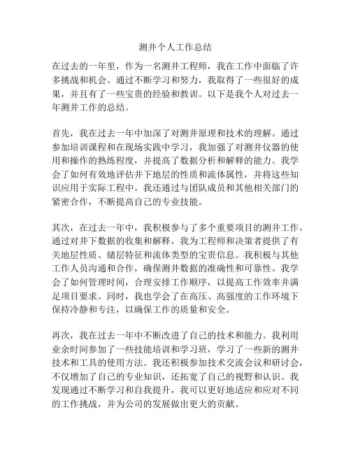 测井个人工作总结