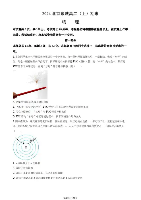 2024北京东城高二(上)期末物理试卷及答案