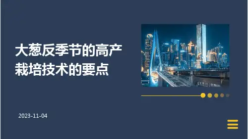 大葱反季节的高产栽培技术的要点