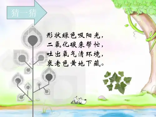 二年级上册美术课件 美丽的叶子 岭南版PPT名师课件